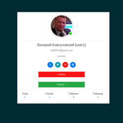django user profile
